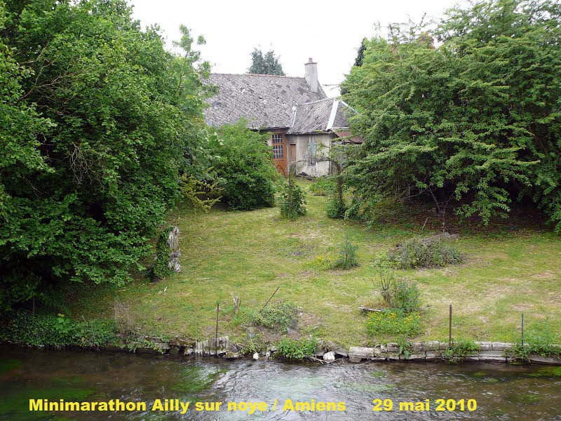 130_13 minimarathon.jpg